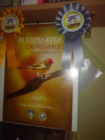 2016 - 3ª EXPOAVES - Castro Verde - 27-11-2016